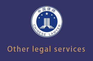 离婚诉讼Other legal services
